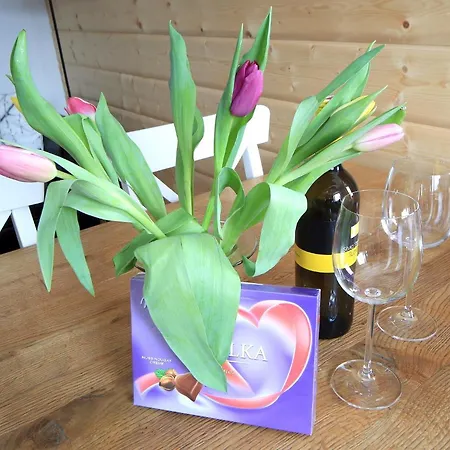 Daire Tanja Haus im Ennstal